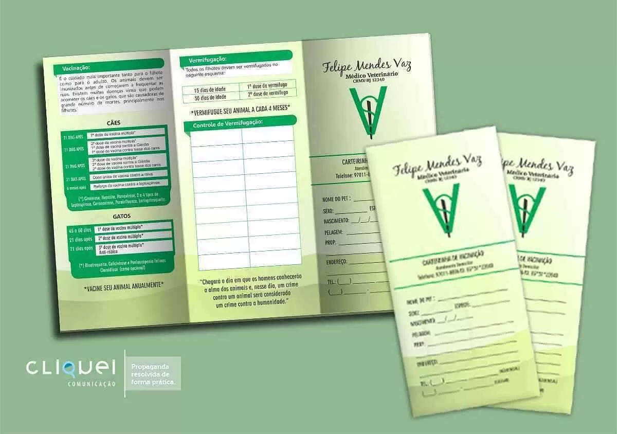 Projeto Visual para Vet. Felipe Vaz — projeto Cliquei Marketing Digital