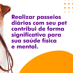 Dica-Passeios-Diários_02