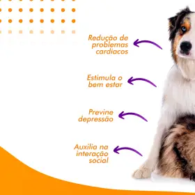 Dica-Passeios-Diários_03