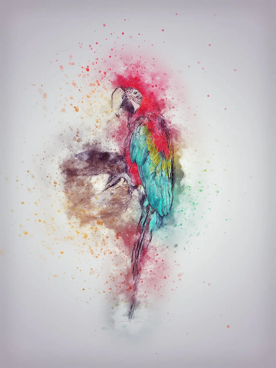 parrot, bird, feathering, art, abstract, nature, animal, watercolor, vintage, artistic, design, t-shirt, aquarelle, paint splatter, digital art, digital paint, drawing