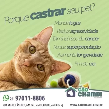 07ad2b47-7487-4ab4-8954-121329d626b5